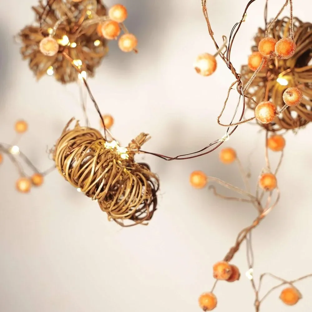 Source Unknown 【thanksgiving lights】